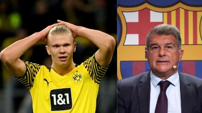 本赛季云南玉昆主场场均观众超2.2万人，带动直接消费2.3亿元