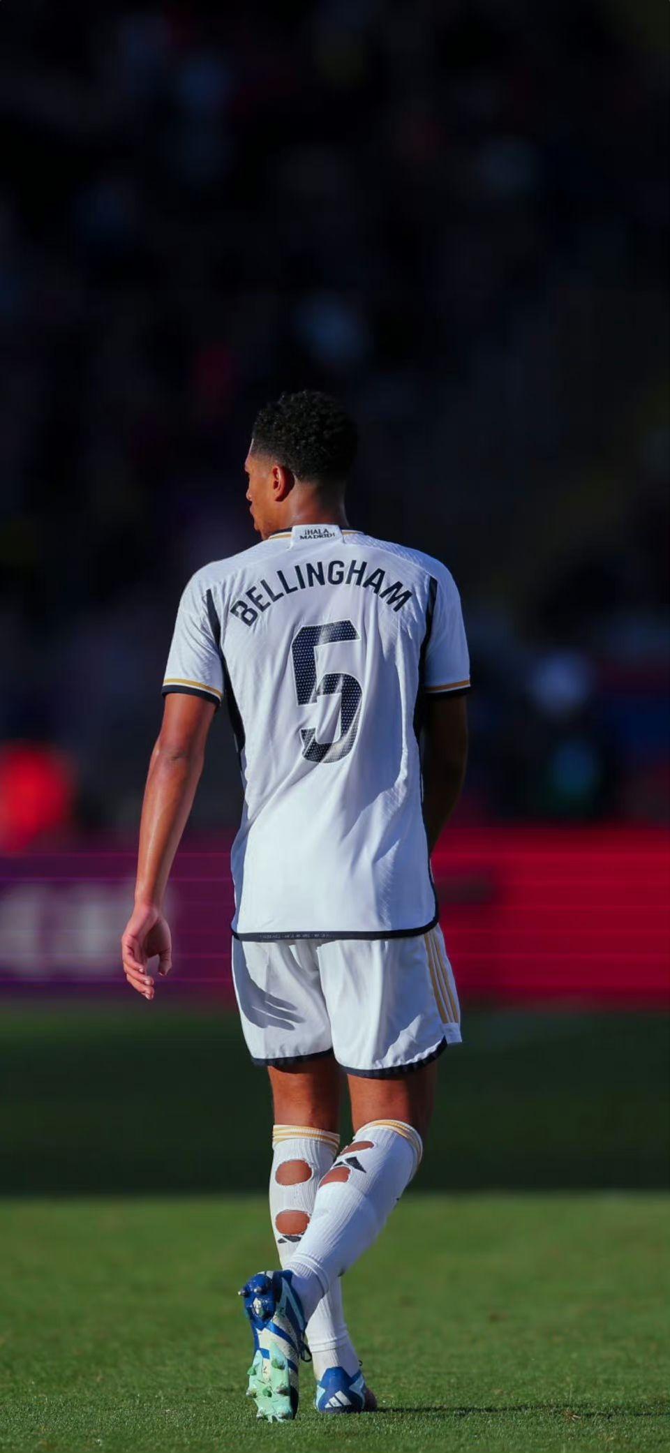 球迷：这就是我爱篮球的原因（球迷心声：我为何钟爱篮球）